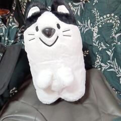 ➀カワイイ!猫のぬいぐるみ