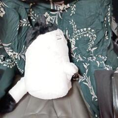 ➀カワイイ!猫のぬいぐるみの画像