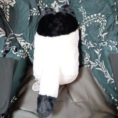 ➀カワイイ!猫のぬいぐるみの画像