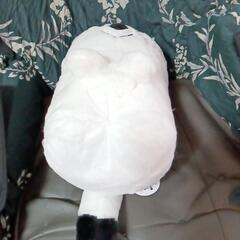 ➀カワイイ!猫のぬいぐるみの画像