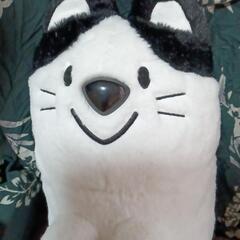 ➀カワイイ!猫のぬいぐるみの画像