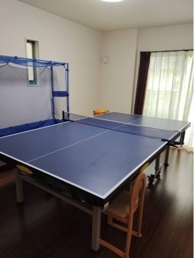 卓球台　公式サイズ　ボール・ネット・フェンス付き