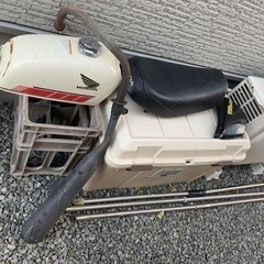 エイプの画像