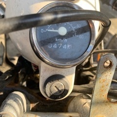 エイプの画像