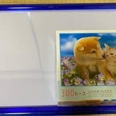 300ピースパズル&フレームセット