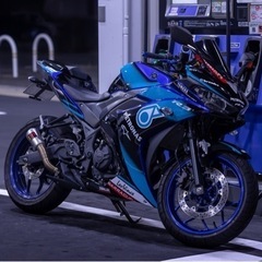 yzf-r25 車体　豪華付属品付き！　バイク　r25
