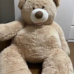コストコ　クマのぬいぐるみ　特大　150センチ