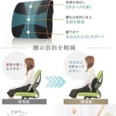 ランバーサポート 腰クッションの画像