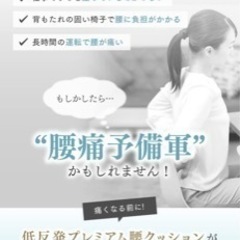 ランバーサポート 腰クッションの画像