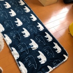 膝掛けの画像