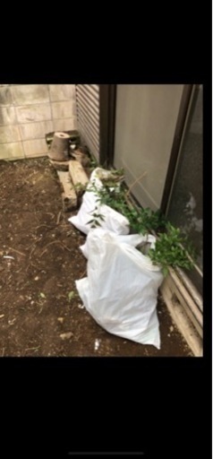 ゴミの回収をお願いします