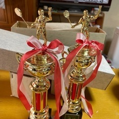 バドミントン男女ダブルストロフィー