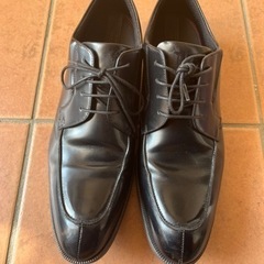 アシックス　texcy 27cm