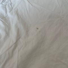 2枚重ね羽毛布団シングルサイズ【IKEA】の画像