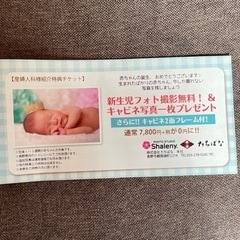 シャレニー 