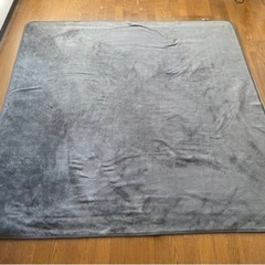 ホットカーペット　ラグ付きの画像