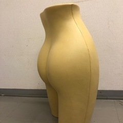 【決定しました】トルソー　マネキン　下半身の画像