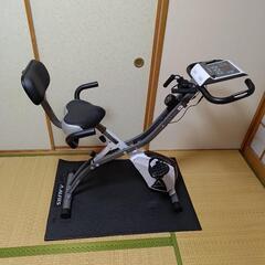 アルインコ(ALINCO) フィットネスバイクAFB4309WX