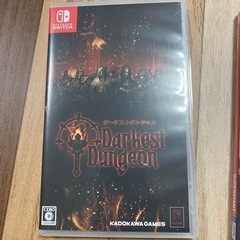 ニンテンドースイッチ　ダーケストダンジョン
