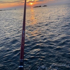 名古屋発海釣り(陸っぱり限定)仲間募集