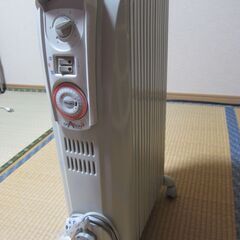 DeLonghi　デロンギ　ドラゴン3 　オイルヒーター (3～...