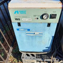 ♪ダッフイー　　Sweet Dreams ４体セット ダッフイーSweet Dreams 4体セット