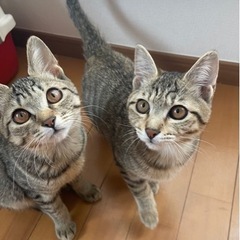 仲良し美人姉妹