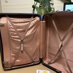 American Touristeter SPECTRUM 旅行用トランクの画像