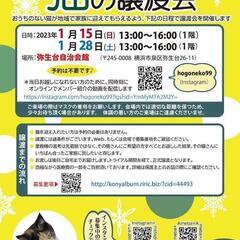横浜市泉区　猫の譲渡会　主催にゃぶ　2023年1月