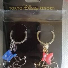 ディズニーリゾート