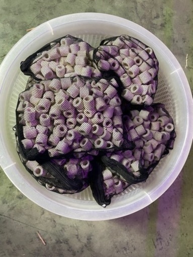 ❤気まぐれ半額セール!!　オーバーフロー水槽セット（海水魚仕様）❤
