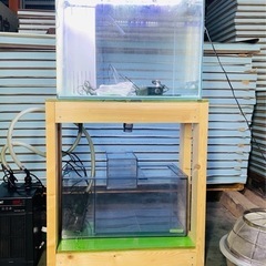 ❤気まぐれ半額セール!! オーバーフロー水槽セット（海水魚仕様）❤
