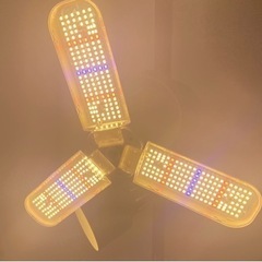 室内用　観葉植物　ライト　新古品の画像