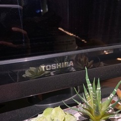 42インチ液晶テレビ★3000円でお譲りしますの画像