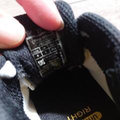 DCベビーシューズ12.0の画像