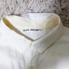 ★お好きなもの３点選べます★B.L.U.E. レディース M シンプル 白 Yシャツの画像