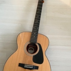 Morris アコースティックギター