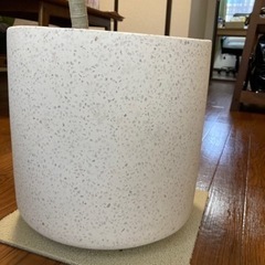 美品　新品に近い　観葉植物の鉢