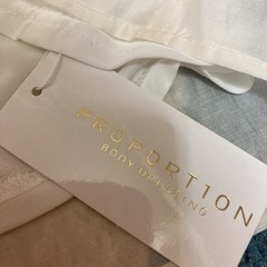 プロポーションボディドレッシング フリルブラウス の画像