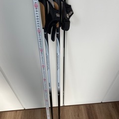 トレッキングポール ノルディックウォーキング ストック 杖 115cmの画像