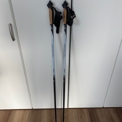 トレッキングポール ノルディックウォーキング ストック 杖 115cm