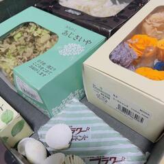 まとめ売り 大地農園 ソフトピラミッドアジサイの画像