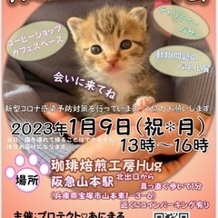 保護猫の譲渡会(兵庫県宝塚)