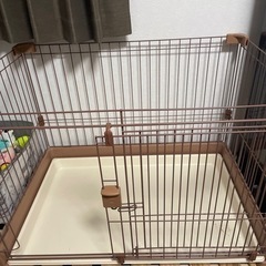 犬のサークル