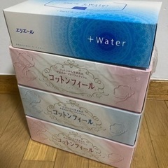 ボックスティシュ