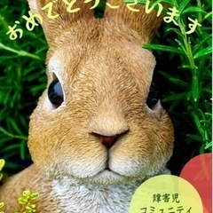 障がい児を持つママのコミニュティを立ち上げました⭐️