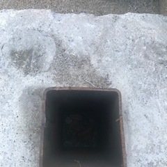 処分代差し上げます、はつりお願いします。の画像