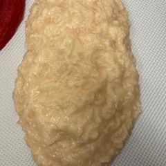 筋肉模型と脂肪模型それぞれ1キロ、美品です！の画像