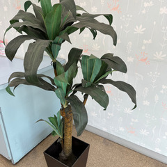観葉植物　フェイクグリーン