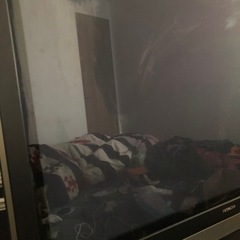 日立　WOOO 42型　の画像